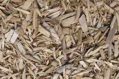 biomass boilers Caulside
